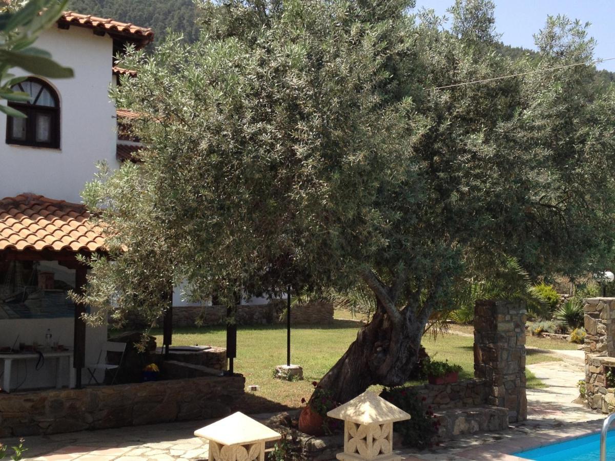 Vour 52 Διαμέρισμα Βουρβουρού Εξωτερικό φωτογραφία